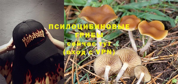 МДПВ Михайловка