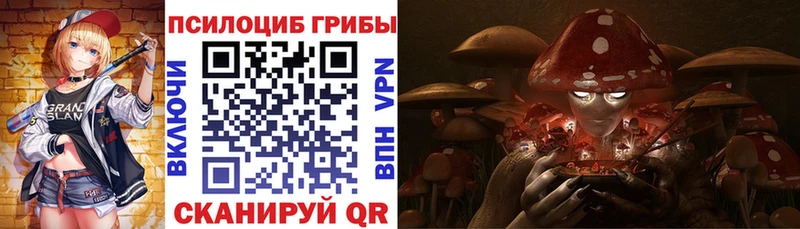 Галлюциногенные грибы Psilocybe  где можно купить   площадка клад  Мостовской 